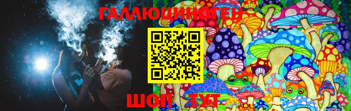 Галлюциногенные грибы мухоморы Лесной